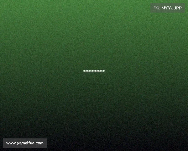 快船队乘胜追击，迎来精彩胜利